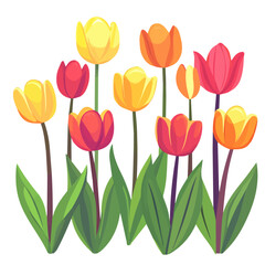 2D flat vector illustration Bright tulip garden in full bloom icon isolated on a white background.

