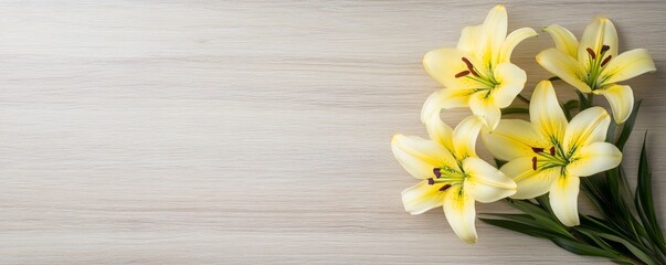 Fototapeta premium Yellow lilies on a smooth pinewood surface, soft-focus floral photography