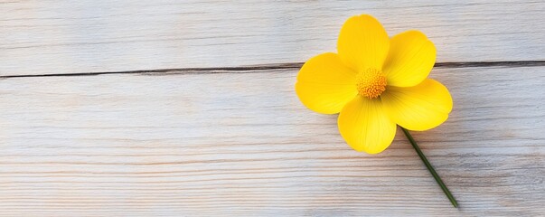 Elegant simplicity of a single yellow bloom against polished wooden grain