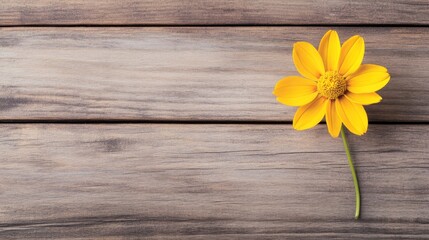 Fototapeta premium Elegant close-up of wooden textures with a single yellow flower