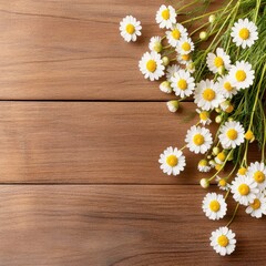 Fototapeta premium Elegant chamomile flowers arranged on polished mahogany wood