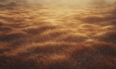 Close-up of golden wheat fields under soft morning light, rich earthy tones creating a warm and peaceful rural setting, detailed natural texture