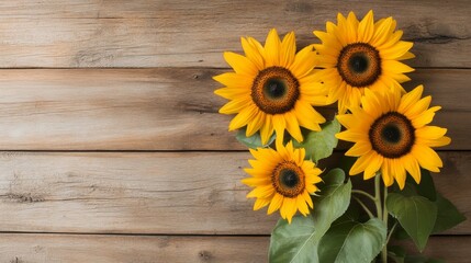 Golden hour sunflowers leaning against reclaimed wood, rustic decor