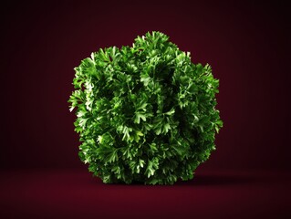 Obraz premium Elegant green plant on deep red background emphasizing the vibrancy of fresh parsley as a culinary ingredient