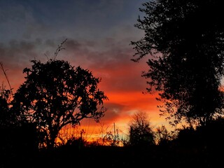 Gli infiocati colori del tramonto con alberi in primo piano in controluce.