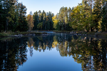 Obraz premium Swedish salmon river landscape in autumn. Farnebofjarden national park in north of Sweden.