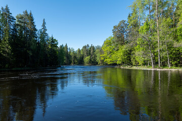 Naklejka premium Swedish salmon river landscape in autumn. Farnebofjarden national park in north of Sweden.