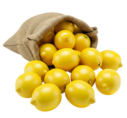 Fresh Juicy Yellow Lemons Spilling From Burlap Sack On White Background