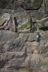 A wall made of stone with moss growing on it