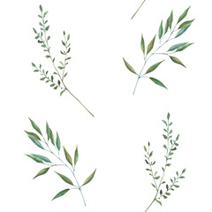 Seamless pattern with watercolor illustrations of various herbs. Seamless texture with hand-drawn green branches. Ideal for wedding, birthday, seasonal holidays.