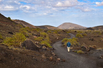 Man walking on  trail in Parque De Los Volcanes National Park. Hiking on the Canary Islands in volcanic landscape. Discover Spain, travel Europe.