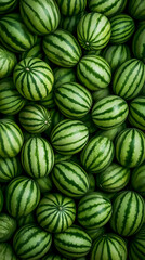 Green Watermelon Summer Harvest