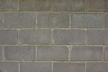 A gray brick wall with a few cracks