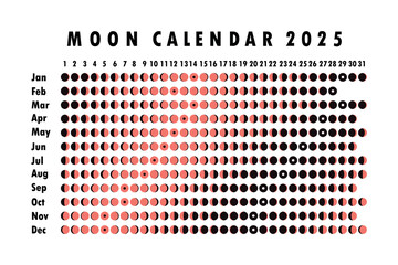 2025 Moon calendar. Astrological calendar design. planner. Place for stickers. Month cycle planner mockup. Isolated black and white background.
