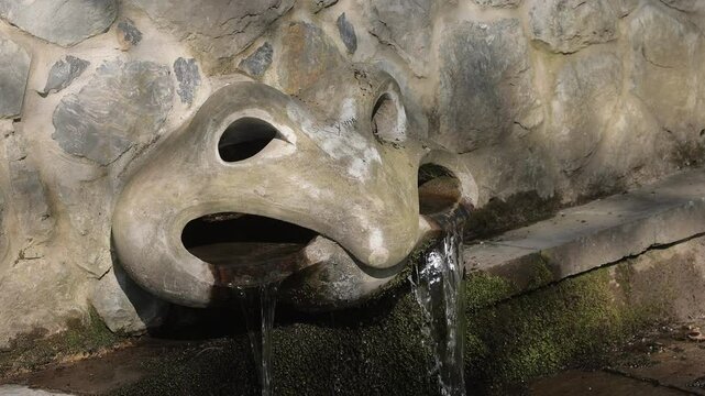 Fountain or water exit made in a look of a frog face. Slow motion video of water exiting the face of a concrete frog statue