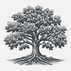 Single oak tree design illustration.