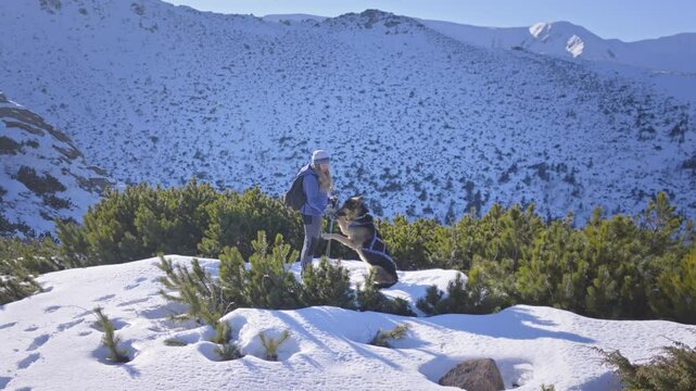 Girl with dog walking through snow among trees covered snow. Winter hike in mountains. Adventures in mountains.