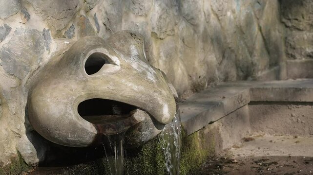 Fountain or water exit made in a look of a frog face. Slow motion video of water exiting the face of a concrete frog statue