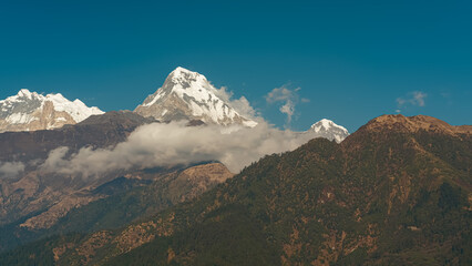 GHOREPANI, NEPAL - JANUARY 9, 2025: Wide shot landscape in Nepal, highlighting lush greenery and majestic mountains under a clear blue sky, view from Ghorepani, Annapurna range.