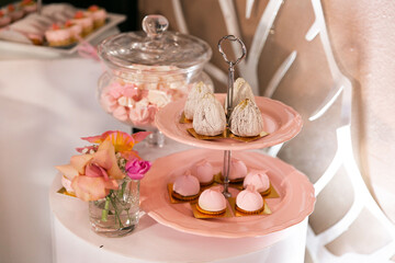 Original handmade cakes and sweets on festive candy bar