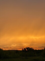Fototapeta premium sunset over the field