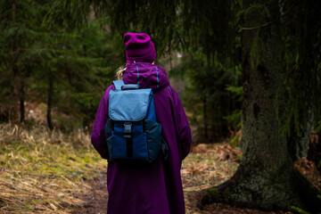 A person in a purple coat and hat walks along a forest path, carrying a blue backpack. Tall...