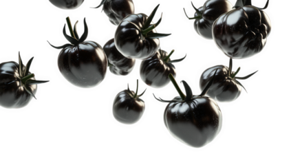 glossy black tomatoes floating against a light background creating a surreal and artistic representation of these unique fruits