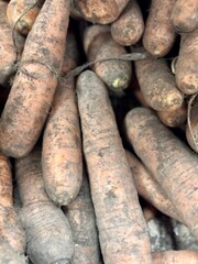 A lot of an unwashed raw carrots on sale in vegetable stand display at supermarket show organic food, vegetarian food, healthy food. Close-up