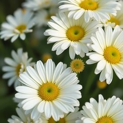 Obraz premium Macro photograph of flowers with detailed petals