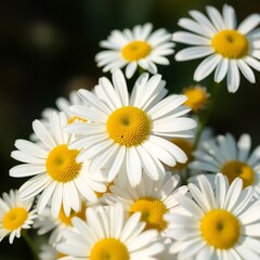 Obraz premium Macro photograph of flowers with detailed petals