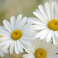 Fototapeta premium Macro photograph of flowers with detailed petals