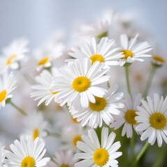 Fototapeta premium Macro photograph of flowers with detailed petals