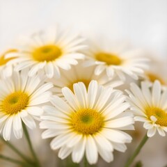 Macro photograph of flowers with detailed petals