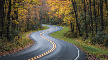 Fototapeta premium Scenic winding road through autumn forest trees colorful leaves red fall path trip route curve green