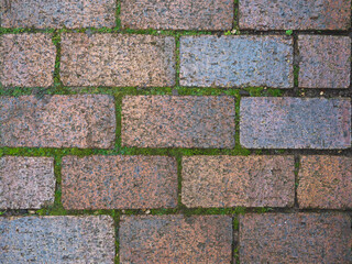 Brick pattern paving with moss, background, texture