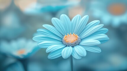 A blue flower in soft focus with an orange center stands out serenely
