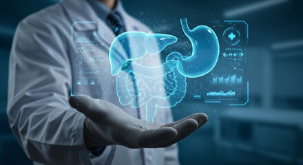 Man in lab coat with virtual hologram of digestive system. Doctor holding human internal organs, liver, stomach, intestine for medical treatment presentation