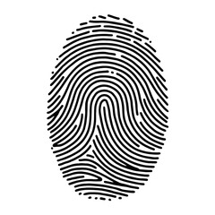 Detailed Fingerprint Pattern Illustrates Unique Identity