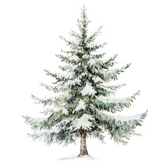 Fototapeta premium elegant watercolor painting of a fir tree, delicate yet rich detailing, artistic and well-balanced composition, sophisticated cut-out style, transparent background, PNG