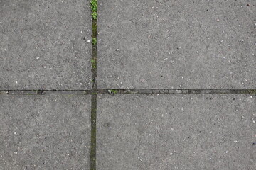 A grey concrete sidewalk with a few cracks and a few weeds growing out of it