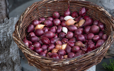 Small red onions are in a wicker basket. The onions are outdoors.