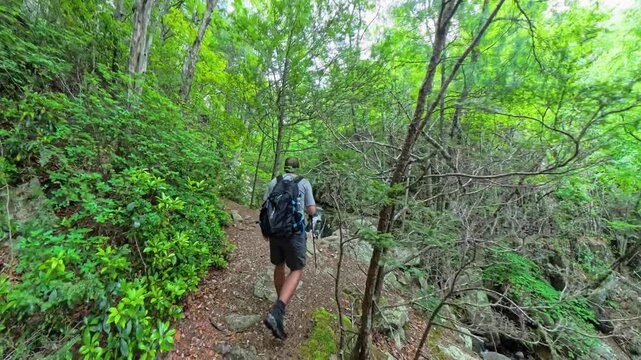 Man Approaches Riprap Falls in Shenandoah National Park