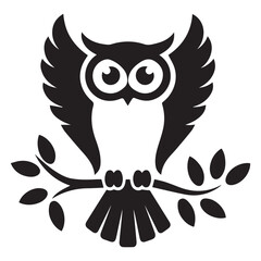 owl on white background