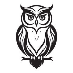 owl on white background