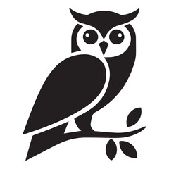 owl on a white background