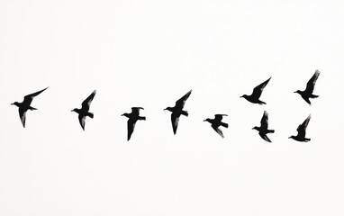 A flock of black birds in flight against a white background. Minimalist design with simple shapes and silhouettes. 