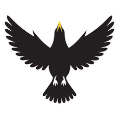 Obraz premium eagle in flight on white background