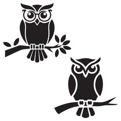 owl on branch on white background