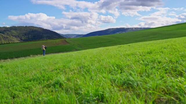 Beautiful green grassy meadow on rolling hills with a hiker walking in the distance on a sunny day, Rhine Valley, Germany