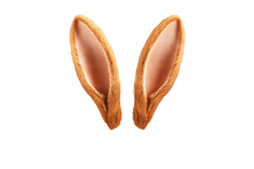 Fototapeta premium Rabbit ears isolated on transparent background